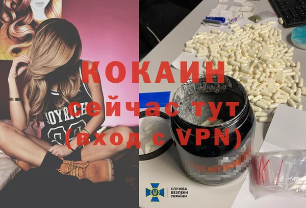 сатива Надым