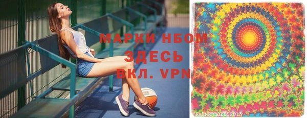 сатива Надым