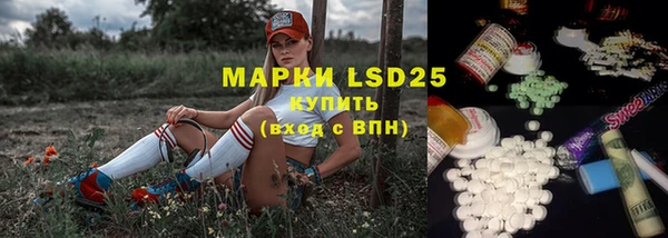 сатива Надым