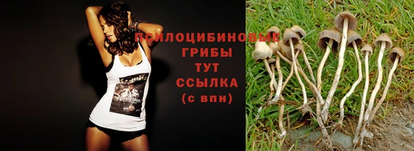 сатива Надым