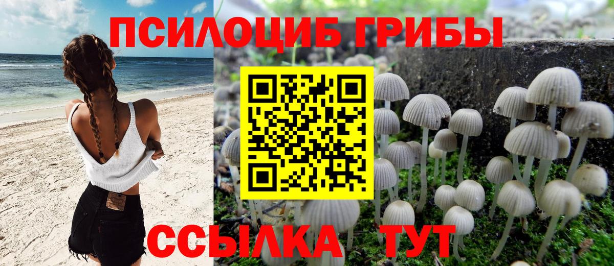 Псилоцибиновые грибы мухоморы Иркутск