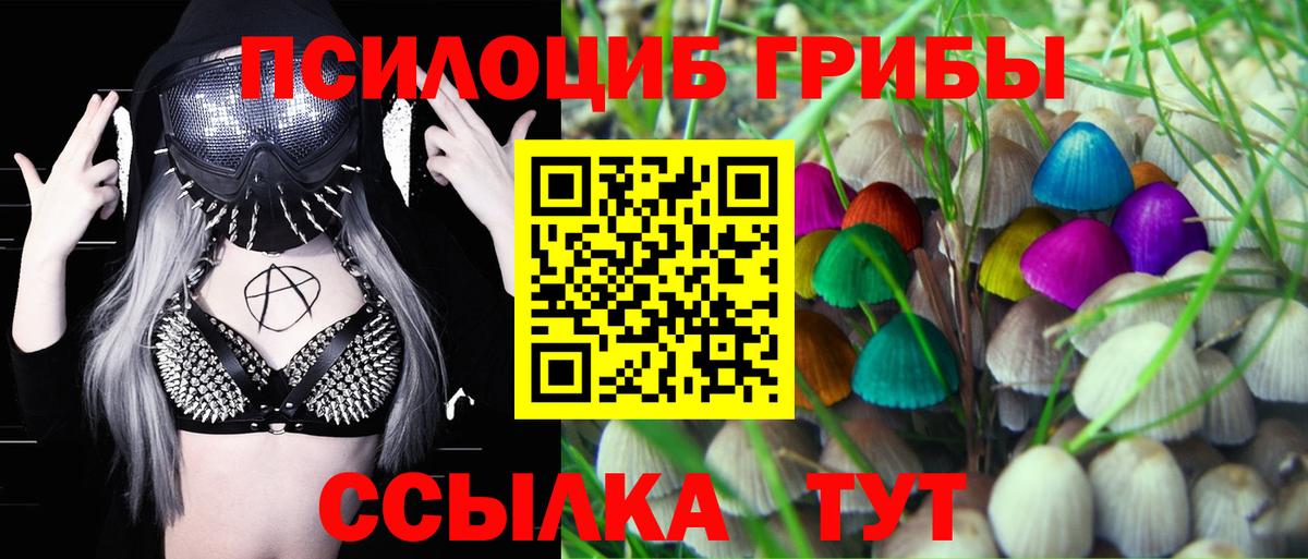 что такое   Псилоцибиновые грибы MAGIC MUSHROOMS  Вход с VPN  Иркутск  Галлюциногенные грибы прущие грибы 
