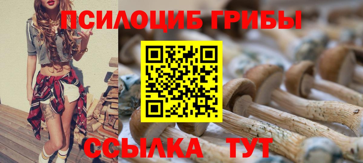 Галлюциногенные грибы мицелий Иркутск