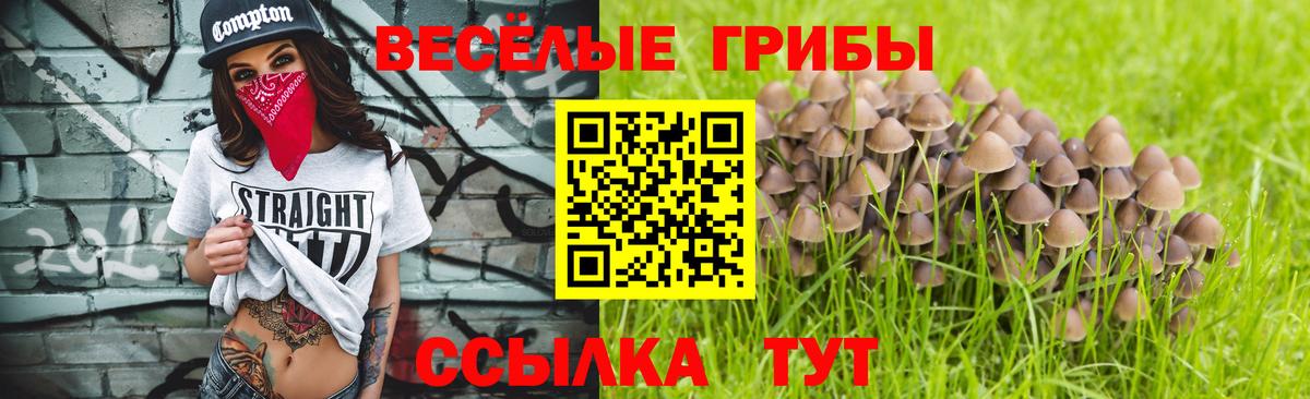 Галлюциногенные грибы мицелий  как найти закладки  Иркутск 